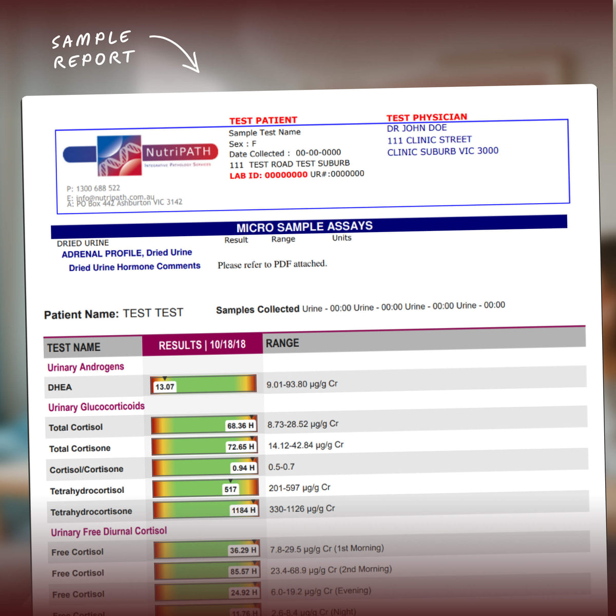 Adrenal Profile Dried Urine Test Kit