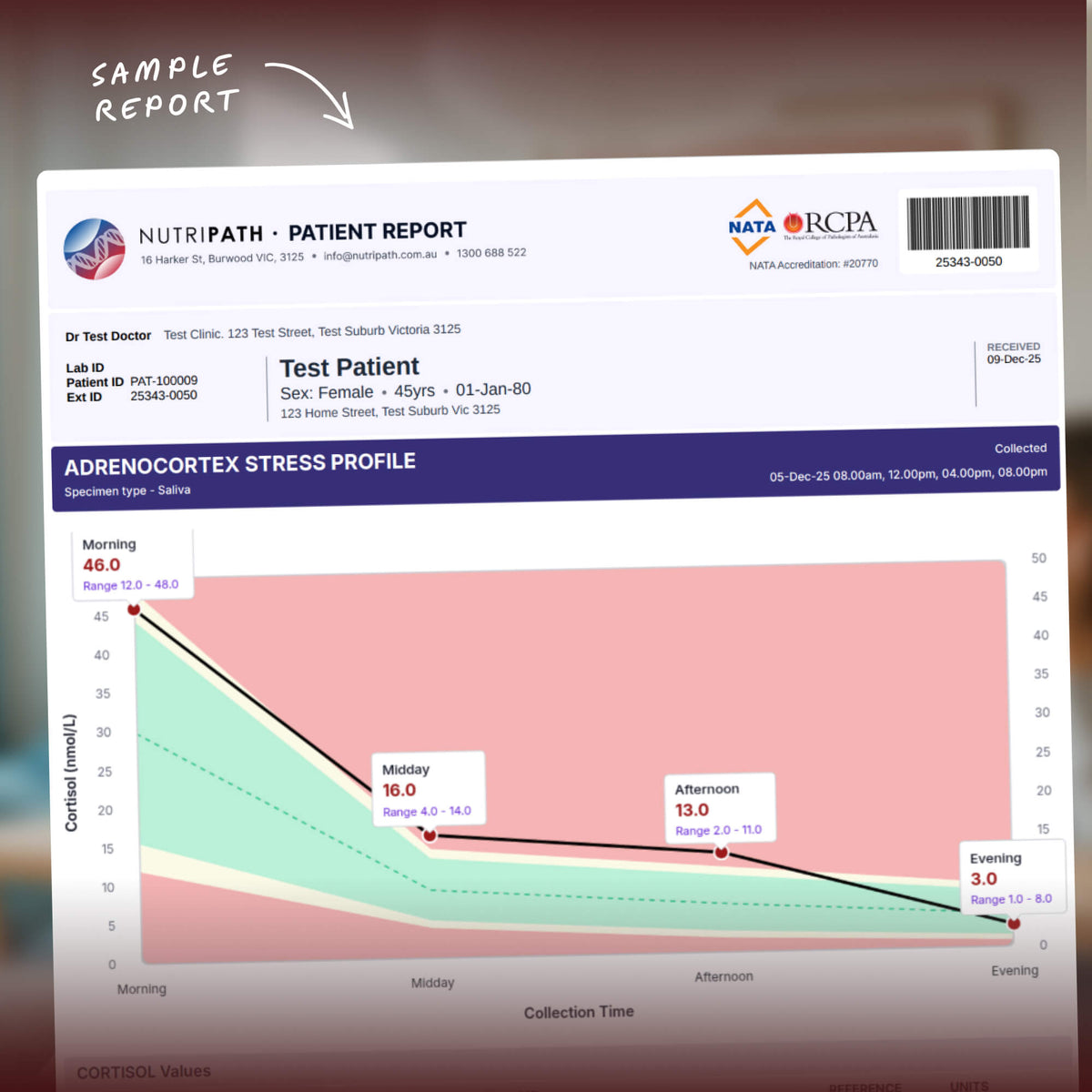 Adrenocortex Stress Profile Basic Saliva Test Kit