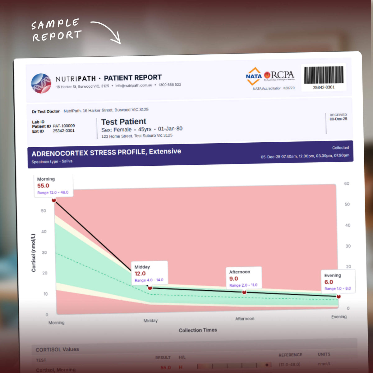 Adrenocortex Stress Profile Extensive Saliva Test Kit