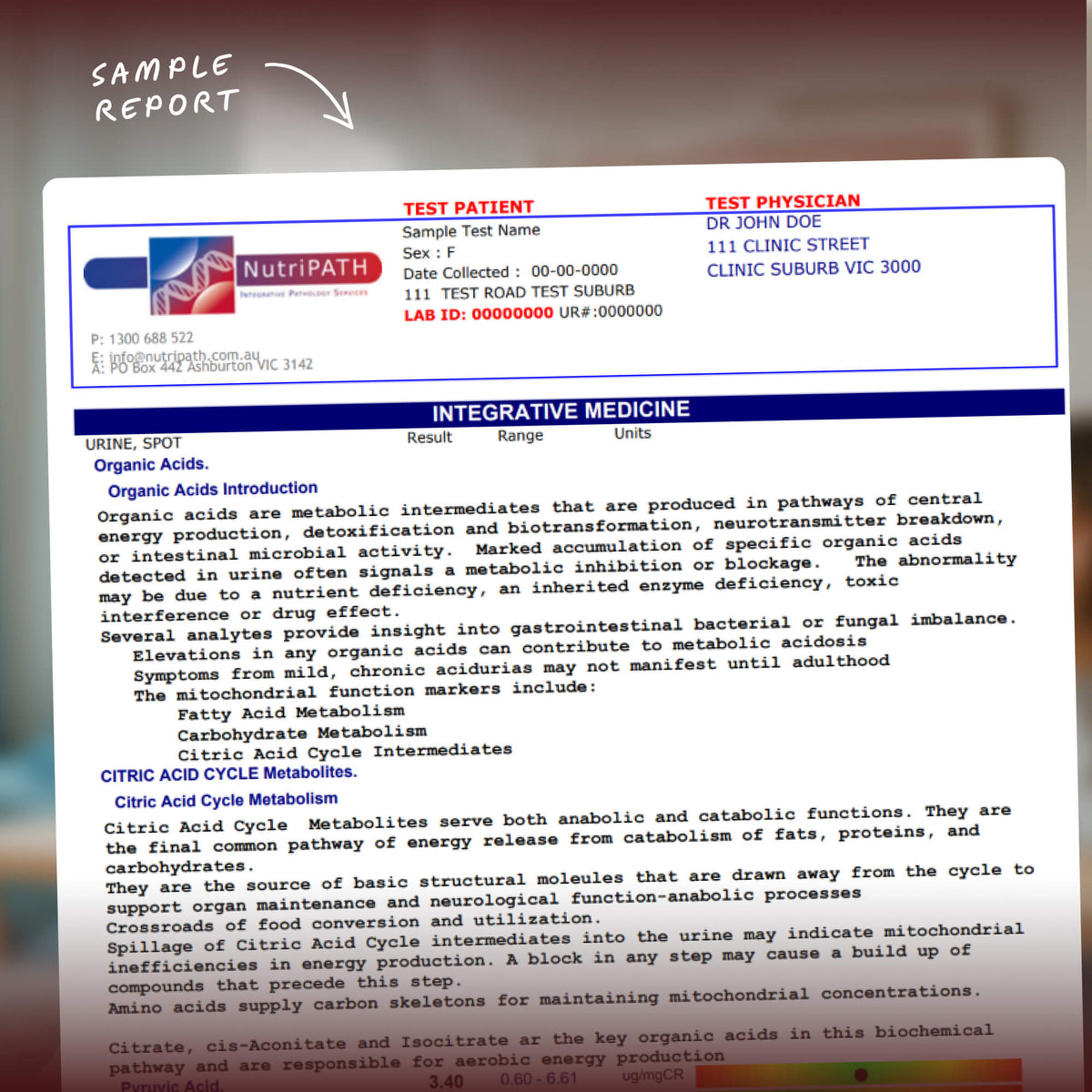 Organic Acids Metabolic & Environmental Pollutant Panel Urine Test Kit